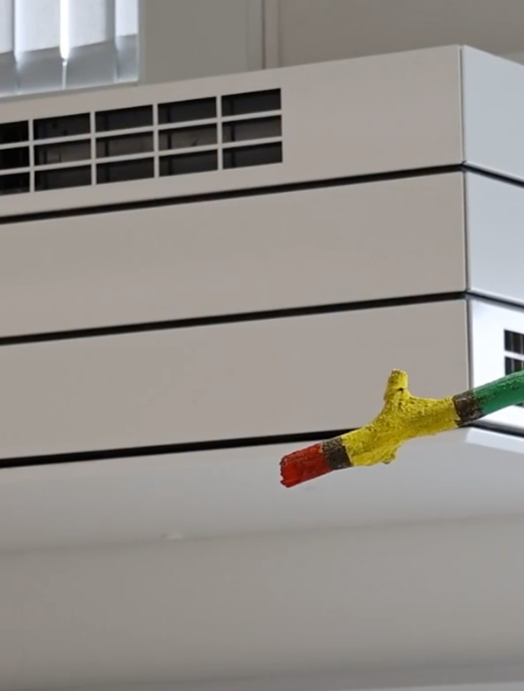 Gezonde lucht is een mensenrecht